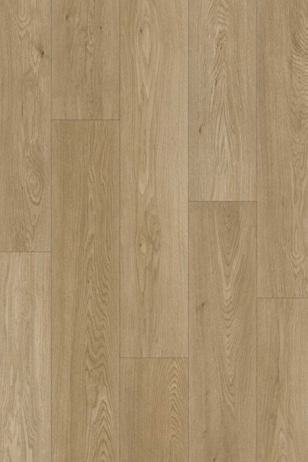 NAPA vinyl Impression Gobi